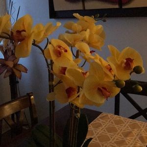 Meet your Posher, Fabiola